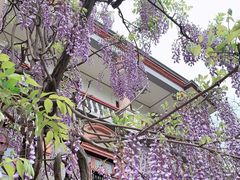 -南通博物苑-崇川人民公园