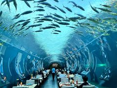 -海棠湾洲际-涛·海底餐厅·美人鱼·自助餐·海底隧道
