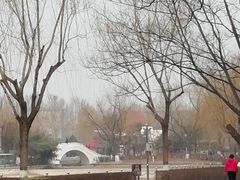 -康庄公园