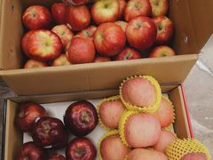 -西郊国际农产品交易中心
