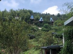 -长沙黑麋峰国家森林公园