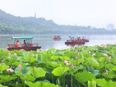 -西湖游船