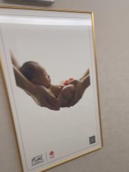 -雪绒花月子会所(祥盛店)