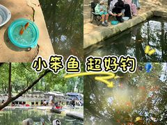 -乌村