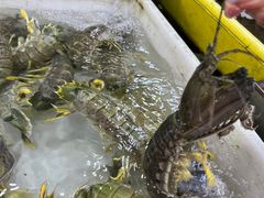 -拉威海鲜市场