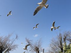 -捞渔河湿地公园