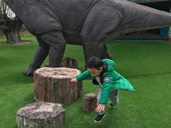 -南通洲际绿博园