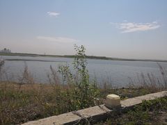 -呼兰河口湿地公园