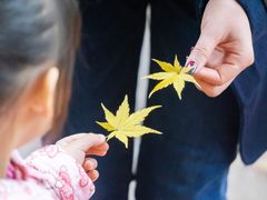 -有栖山 清光院 清水寺