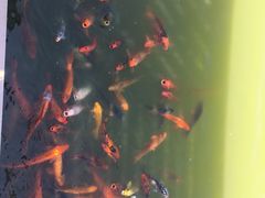 -春晖园度假酒店温泉