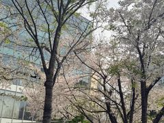 -台北楚楚园馅饼粥(虹桥南丰城店)