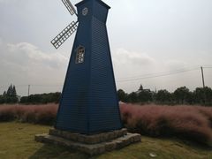 -鹅湖玫瑰文化园