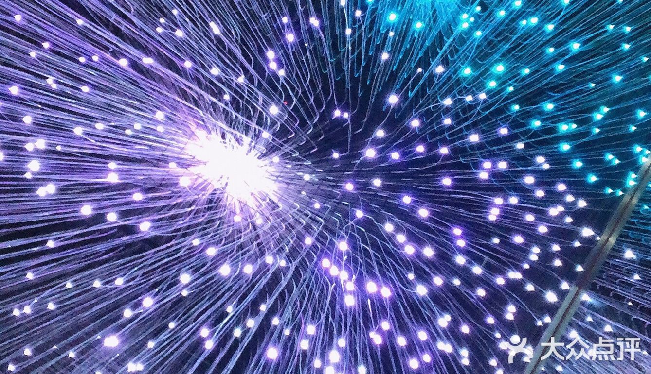 需要提前预约环境真的很浪漫啊星光点点