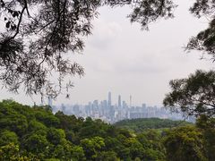 -广州市白云山风景名胜区