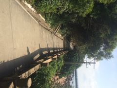 iphone_upload_pic-东澳岛