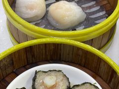 -肥佬夜茶(早茶·西乡店)