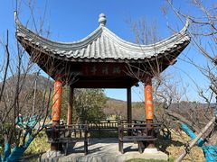 -牛首山文化旅游区