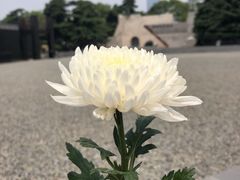 -侵华日军南京大屠杀遇难同胞纪念馆