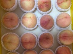 -老袁家蜜桃农场·阳山水蜜桃