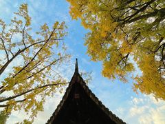 -苏州上方山国家森林公园
