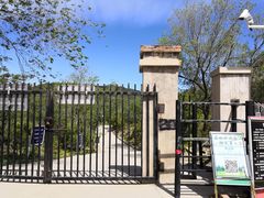 -北京西山国家森林公园