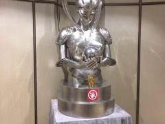 -影汇之星8字形摩天轮