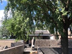 -自如ZSPACE四合院艺术餐厅
