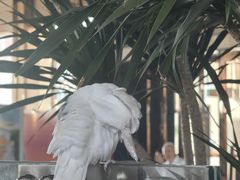 -惠州金海湾嘉华度假酒店