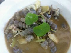 泡菜丁螺-御唐府海珊瑚主题餐厅