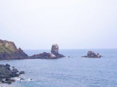 -涉地可支