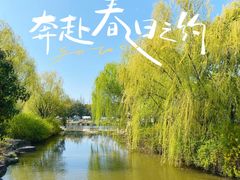 -上海滨江森林公园