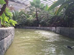 -龙达温泉生态城