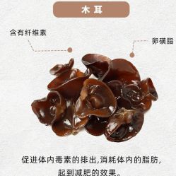 -Fundi张玉珊修身堂·indiba·BTL科技瘦身