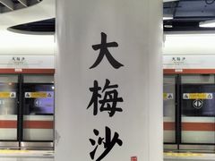 -大梅沙海滨公园