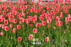 -玄武湖景区-情侣园游乐场