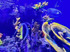 -成都浩海立方海洋公园