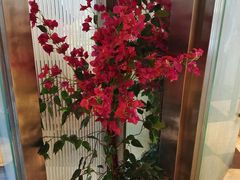 -金楚轩时尚餐厅(金涛铭座店)