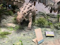 -辽宁古生物博物馆