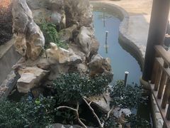 -呼吸森林·生态农庄农家乐私房菜