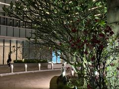 -海湾壹品·粤菜·早茶·烤鸭(拱北店)