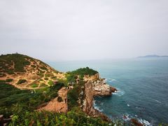 -杨梅坑