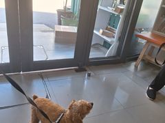 -爱侣宠医·鹦鹉专科·小型哺乳类·异宠专科(灵石路店)