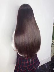 -蓝梦聚星