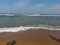 -日照海滨国家森林公园