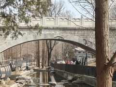 -白水寺森林公园
