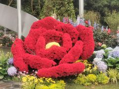 -深圳仙湖植物园