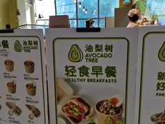 -油梨树AVOCADO TREE(望京店)