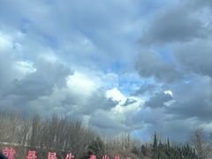-王老六铁锅炖鱼(大东沟总店)
