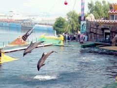 -秦皇岛乐岛海洋王国