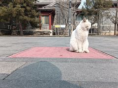 -北京鲁迅博物馆(北京新文化运动纪念馆鲁博馆区)